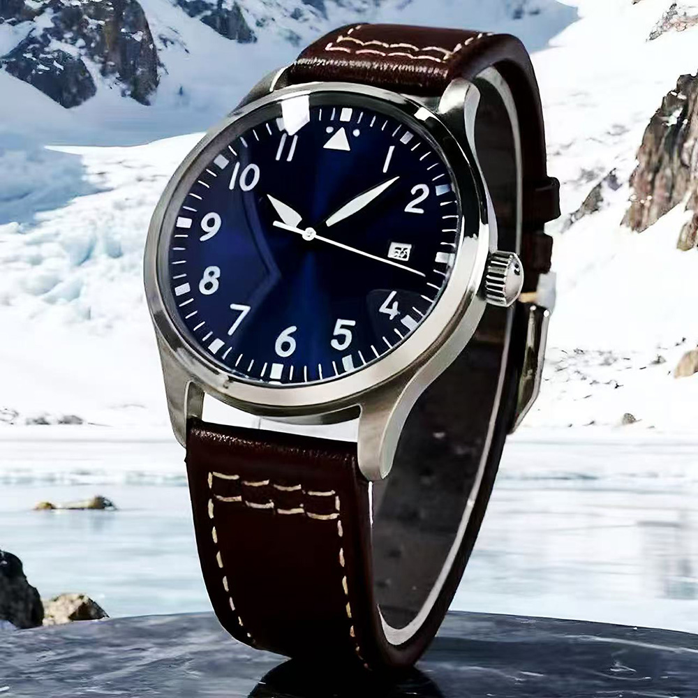 Men's Classic and Fashionable  - Automatic Pilot Watch 评论和价格